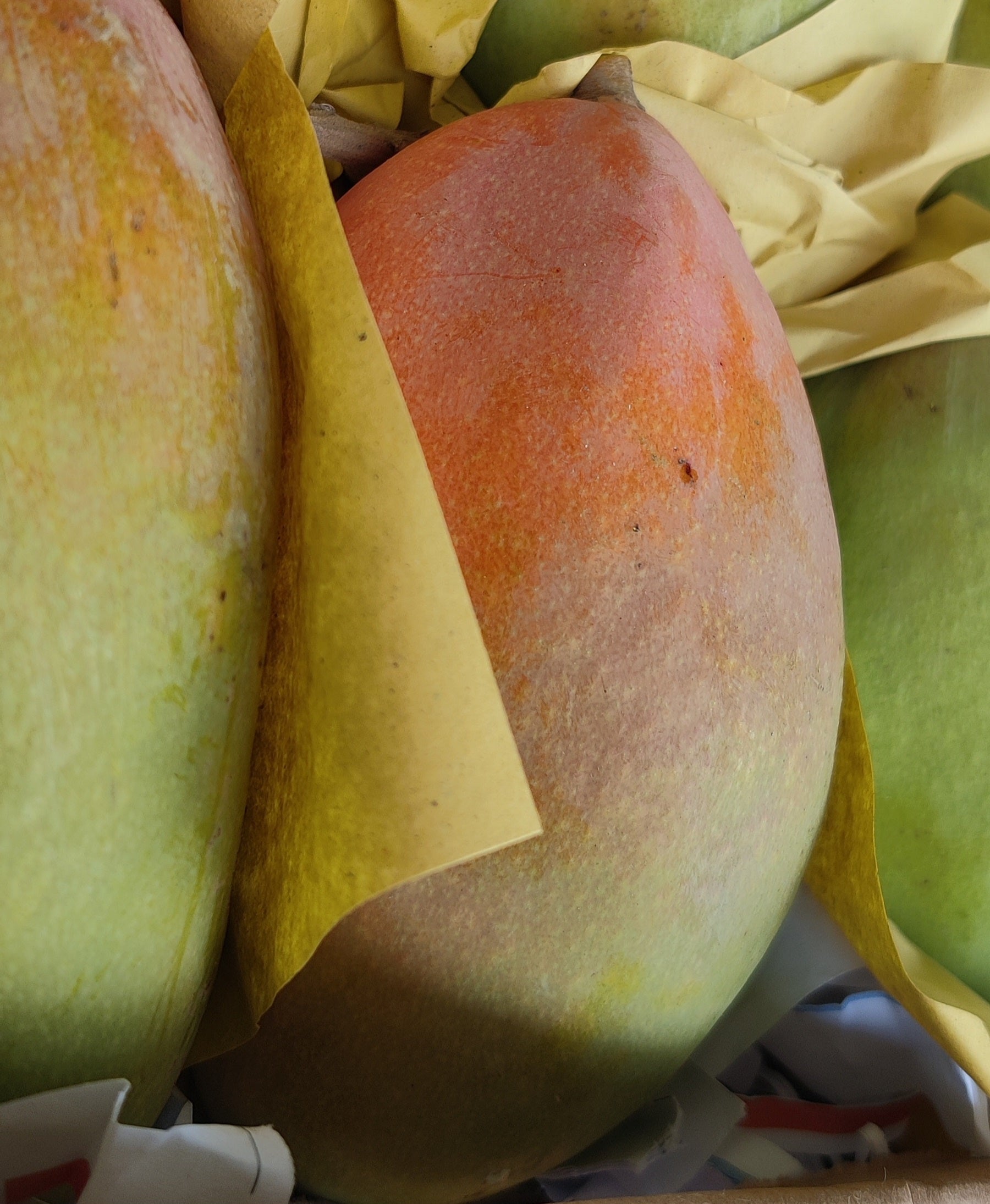 Premium Taimoor Mangoes (Yemen)