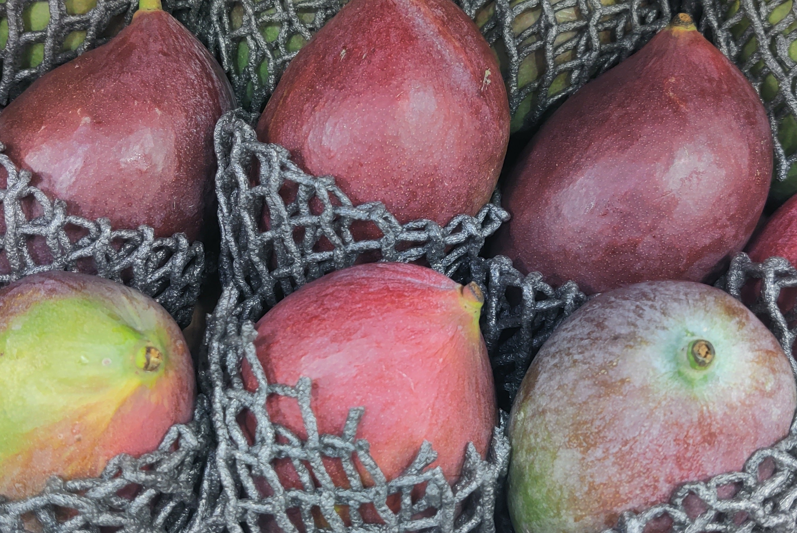 Fresh Palmer Mangoes (Brazilian)
