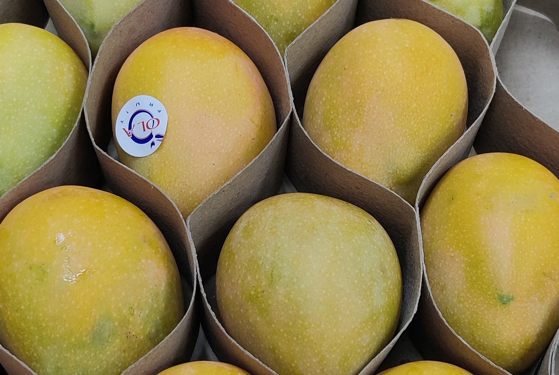 Fresh Baby Mangoes (Colombian)